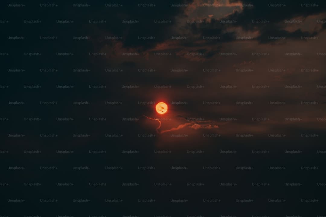 https://static.ws.126.net/163/frontend/images/2022/empty.png